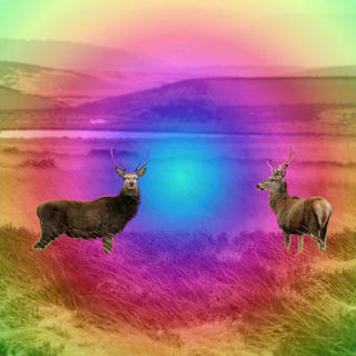 Two deer on moorland with psychedelic colours